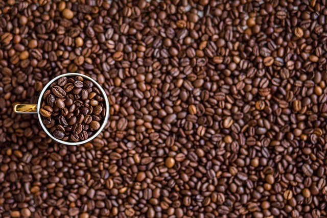 Smag på innovation: Hvordan Bosch revolutionerer kaffebønnemarkedet med deres nyeste sortiment