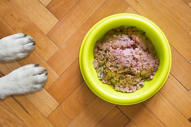 Fra korn til kød: Fordelene ved glutenfri hundefoder