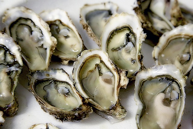 Gastronomisk getaway: Skaldyrsaften i marielyst